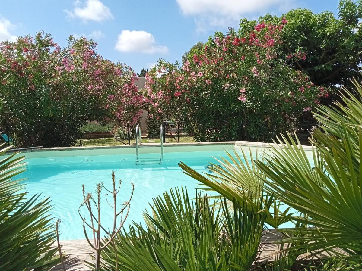 Cosy En Provence Βίλα Maillane Εξωτερικό φωτογραφία