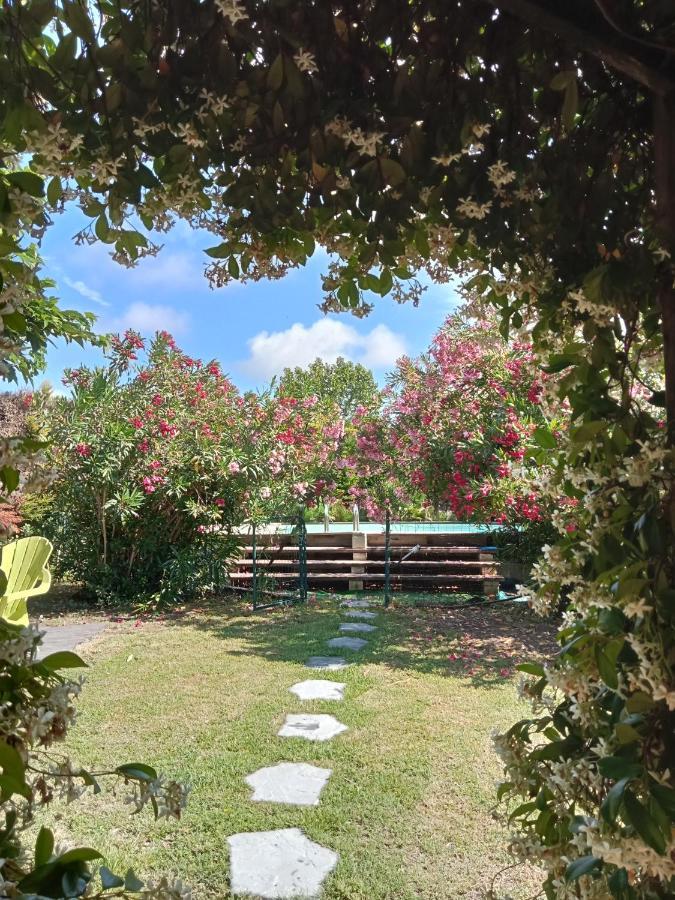 Cosy En Provence Βίλα Maillane Εξωτερικό φωτογραφία